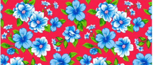 CHITA FLORAL AZUL FD VERMELHO