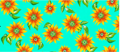 CHITA GIRASOL FD AZUL